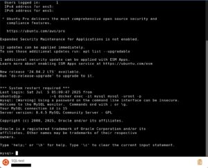 MySQL接続画面