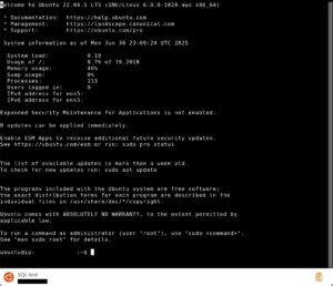 MySQLの試運転